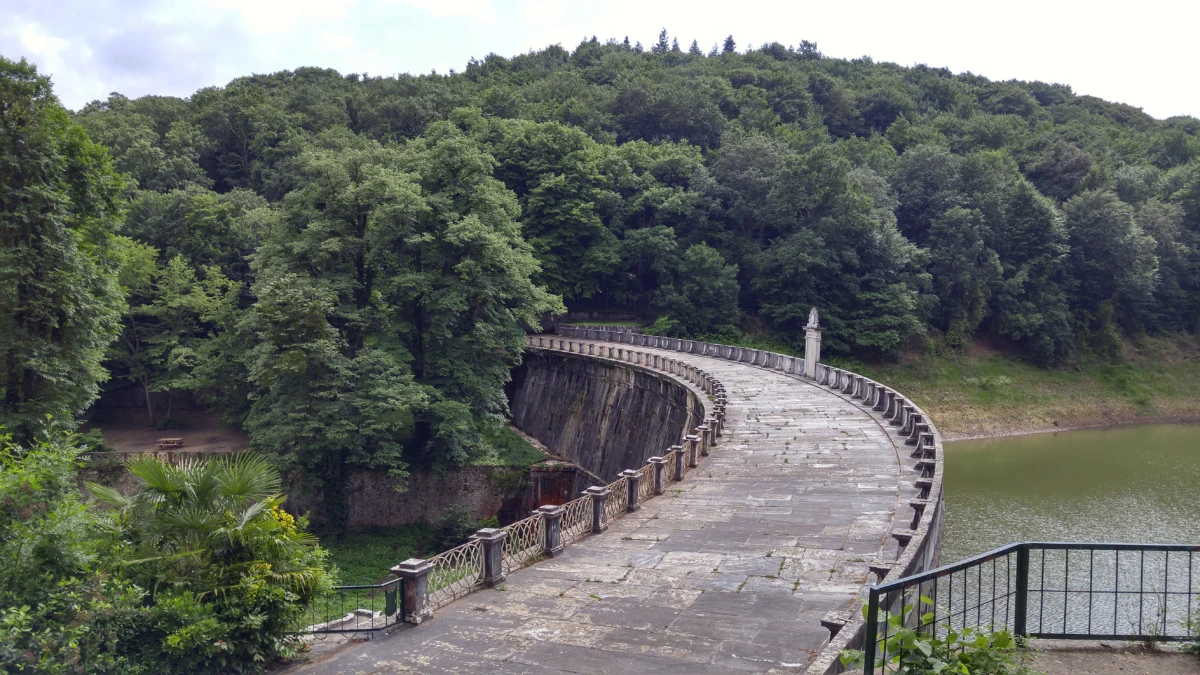 Belgrad Ormanı
