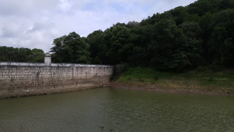 Belgrad Ormanı