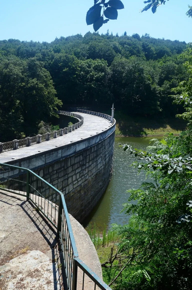 Belgrad Ormanı