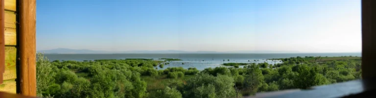 Manyas Kuş Cenneti