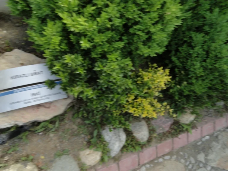 Miniatürk