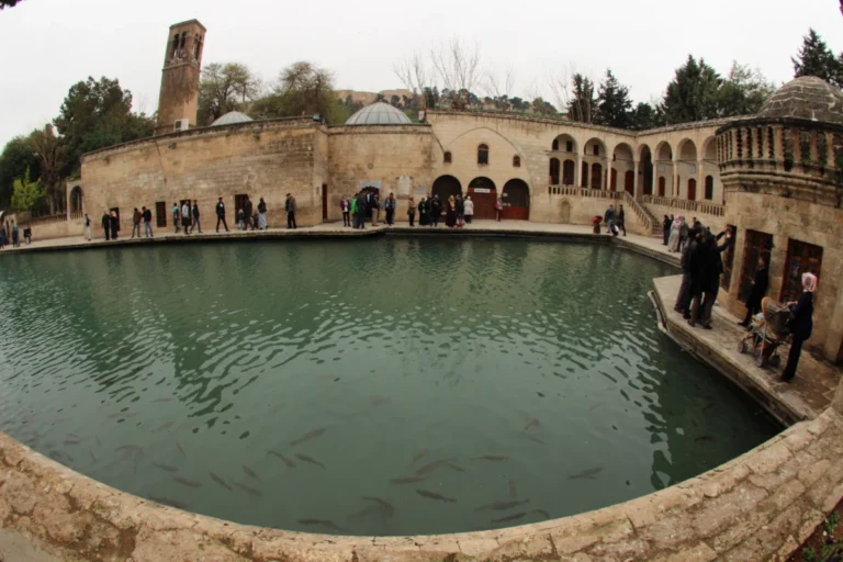 Otomatik taslak