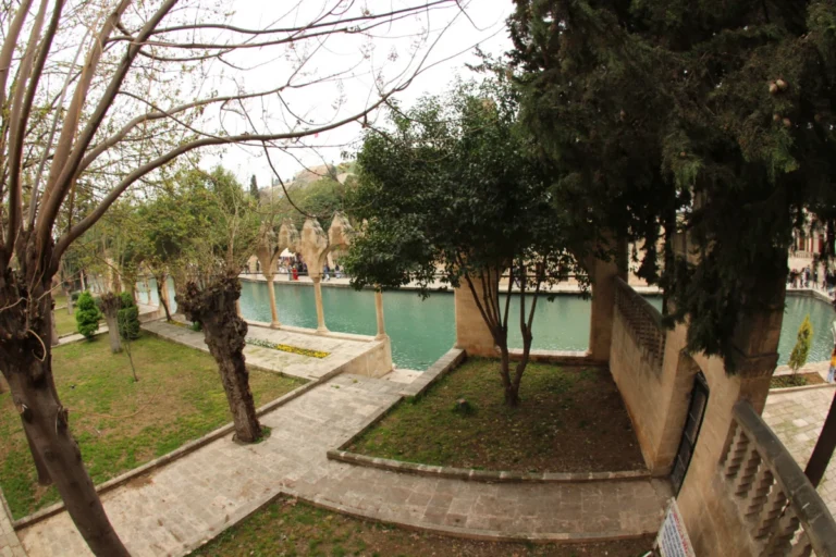 Otomatik taslak