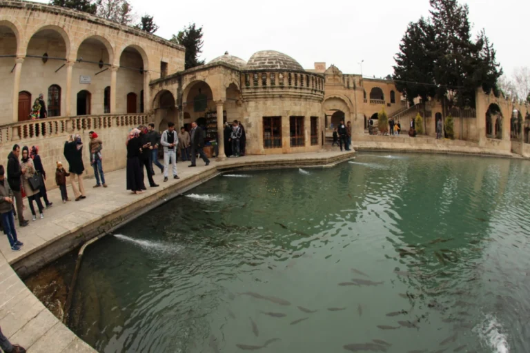 Otomatik taslak