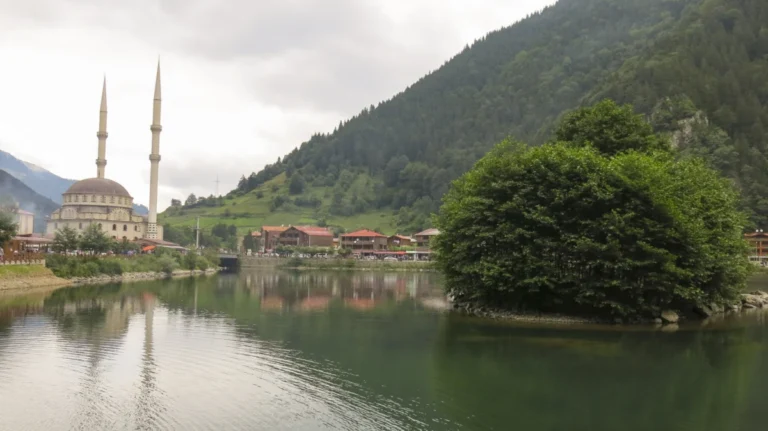Uzungöl Tabiat Parkı
