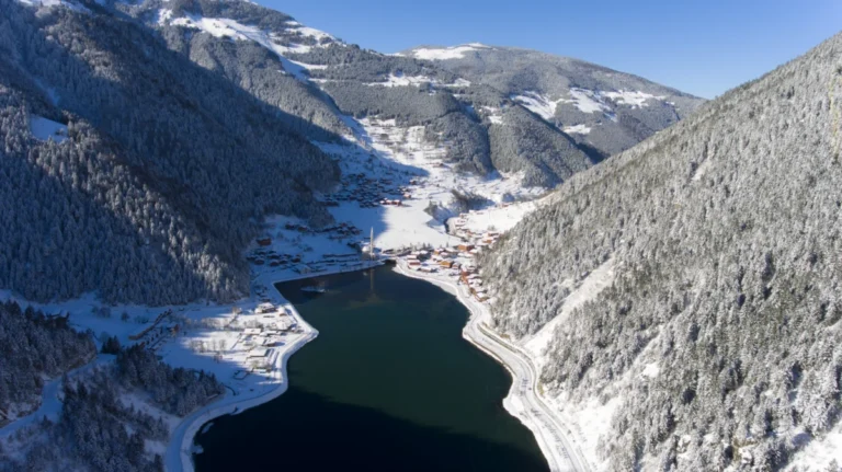 Uzungöl Tabiat Parkı