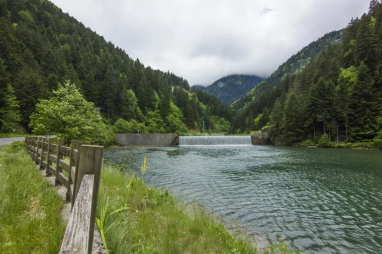 Uzungöl Tabiat Parkı