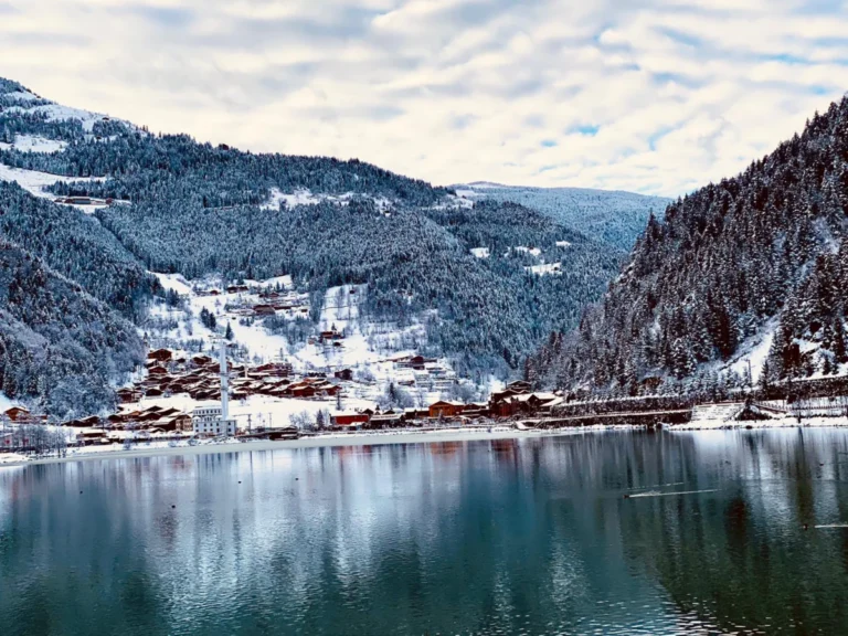 Uzungöl Tabiat Parkı