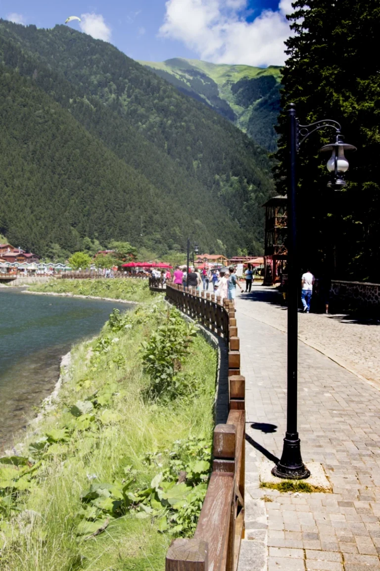 Uzungöl Tabiat Parkı