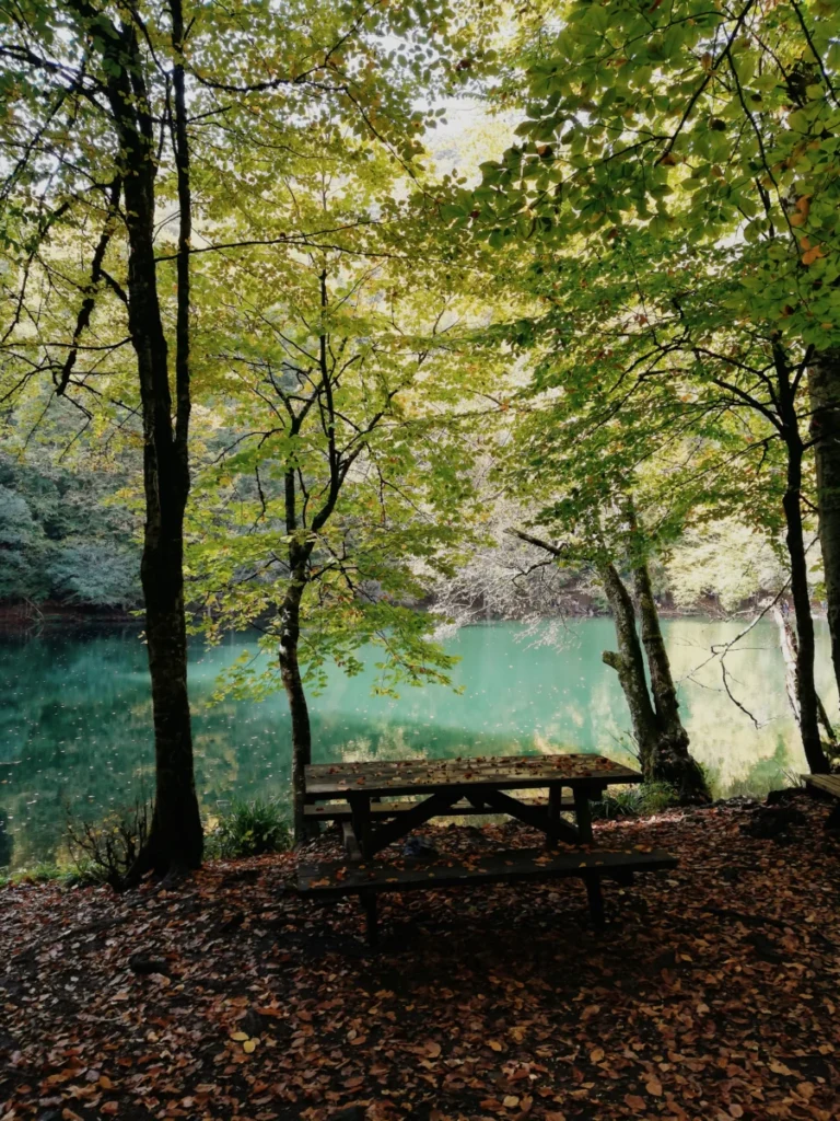 Yedigöller Milli Parkı