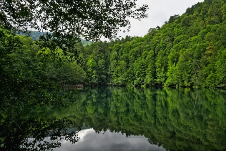 Yedigöller Milli Parkı