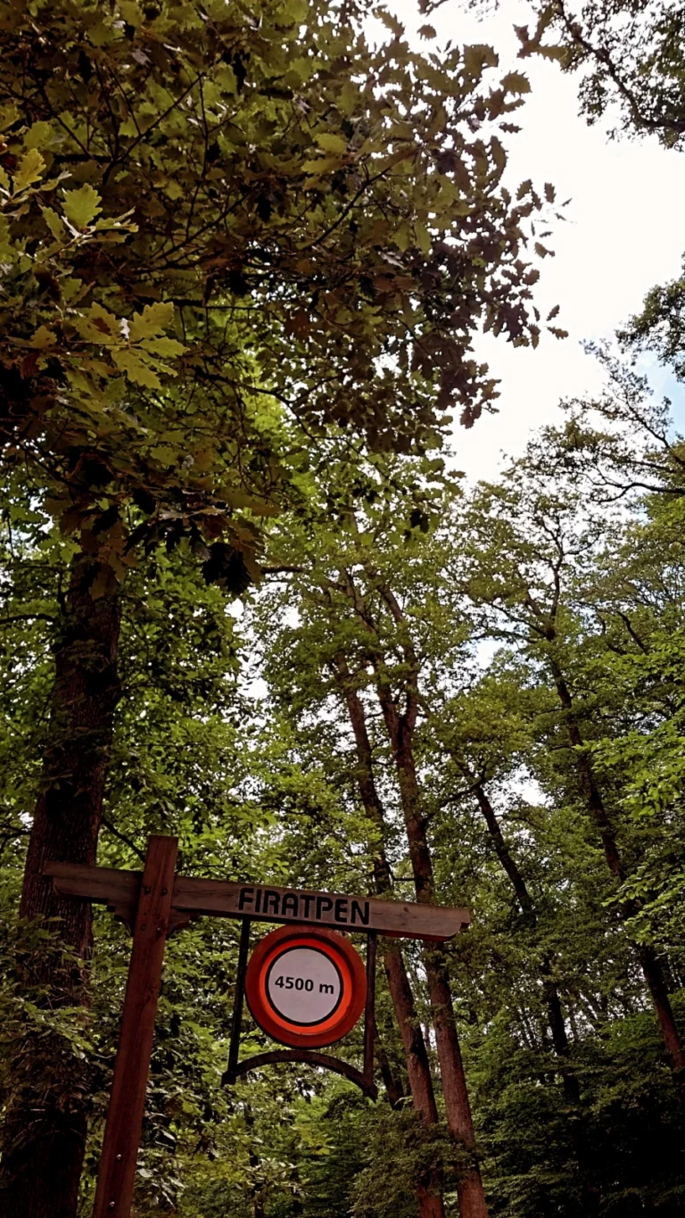 Kemerburgaz Kent Ormanı