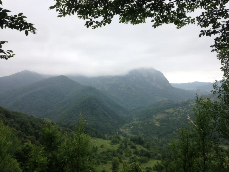 Küre Dağları Milli Parkı