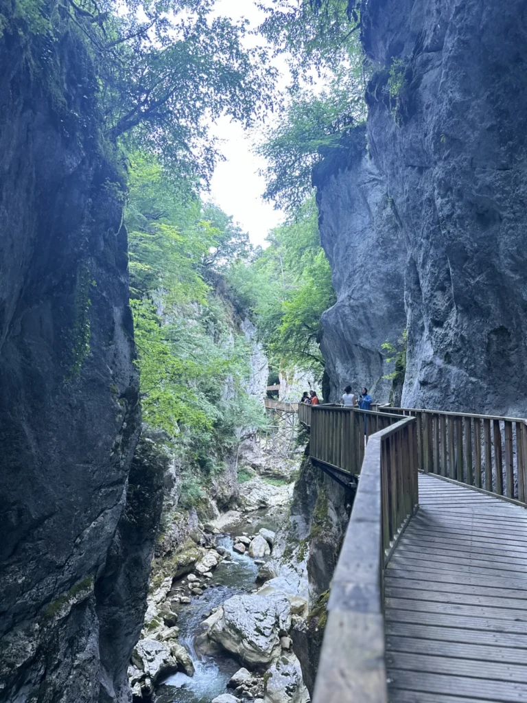Küre Dağları Milli Parkı