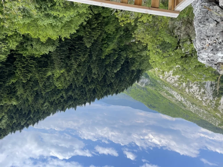 Küre Dağları Milli Parkı