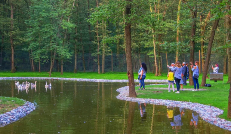 Ormanya Doğal Yaşam Parkı