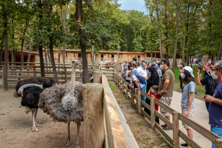 Ormanya Doğal Yaşam Parkı