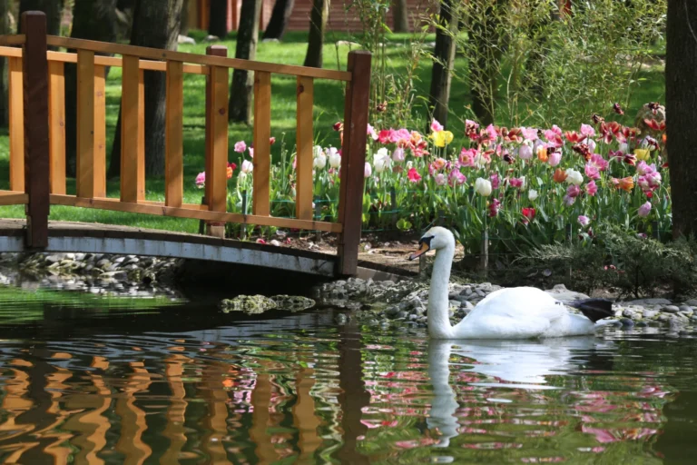 Ormanya Doğal Yaşam Parkı