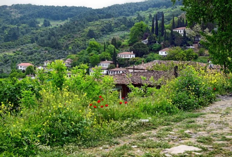 Şirince Köyü